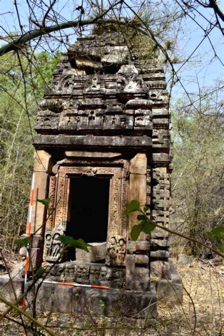 
ASI finds temples, Buddhist caves, Mughal era coins in MP 