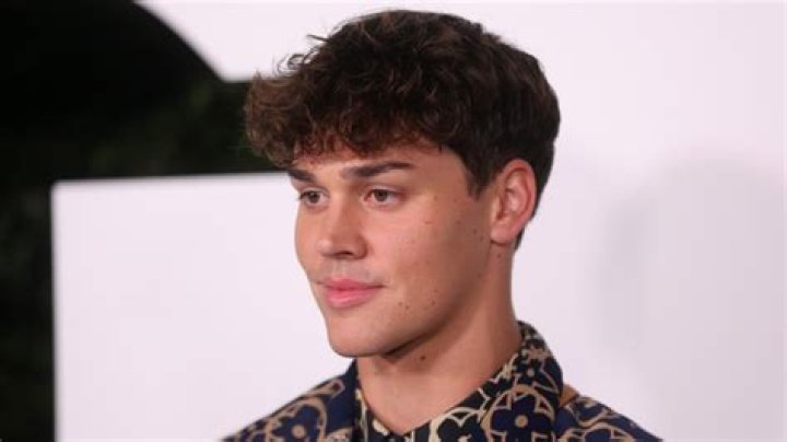 Noah Beck Sexuality: Is He Gay? Why Is His Hairstyle Trending On The Internet?