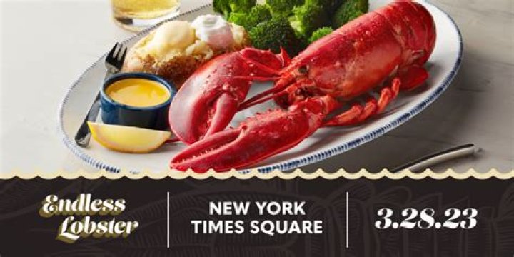
Red Lobster 2023 Lobsterfest menu explored as brand adds introduces new lobster and shrimp dishes for limited time 