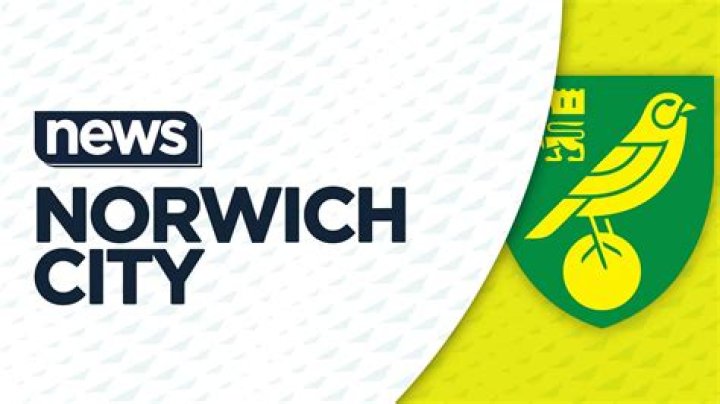 
Where Is Teemu Pukki Going After Leaving Norwich City? New Team And Salary 